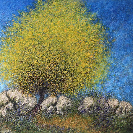 Sallow Wattle - painted by Alan Moloney - 102cm x 102cm . Oil on Canvas
