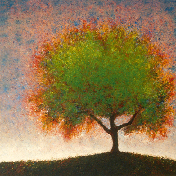 Spring Elm - painted by Alan Moloney - 102cm x 102cm . Oil on Canvas